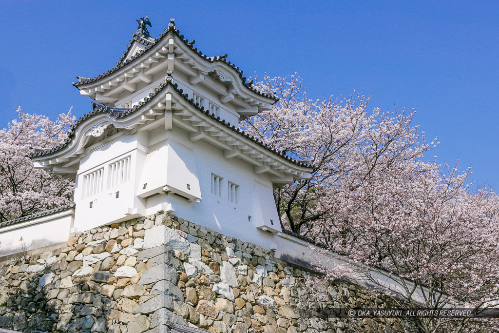 龍野城の桜