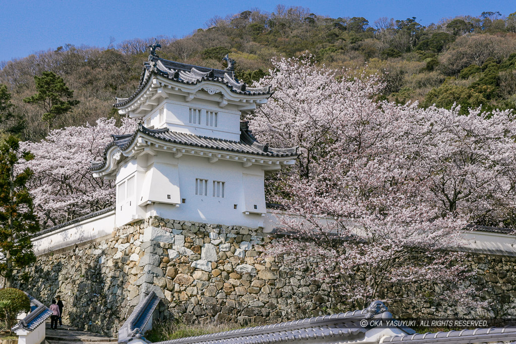 龍野城の桜