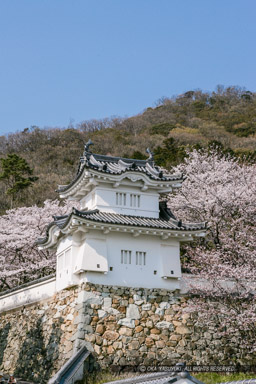 龍野城の桜｜高解像度画像サイズ：2292 x 3438 pixels｜写真番号：VJ7Z4688｜撮影：Canon EOS-1Ds Mark II