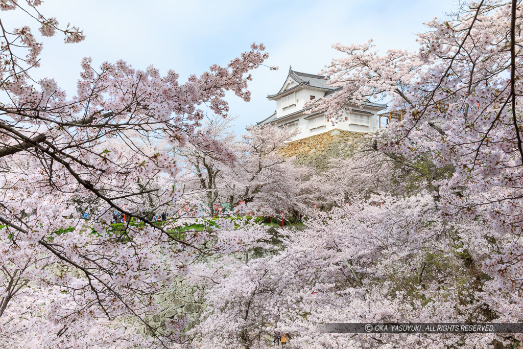 津山城の桜・備中櫓