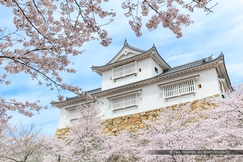 津山城の桜・備中櫓