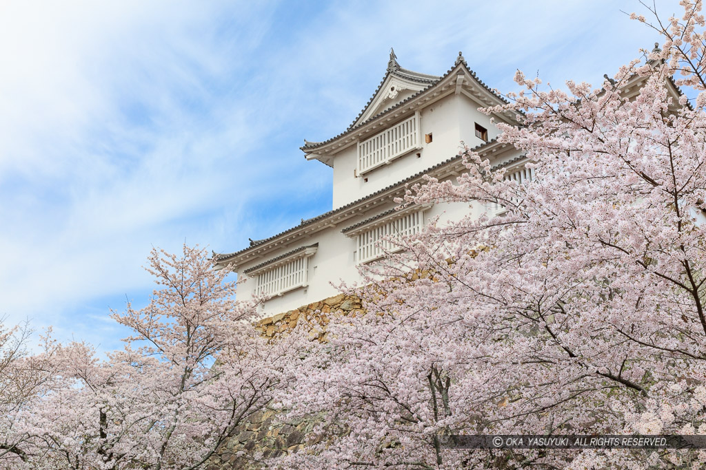 津山城の桜・備中櫓