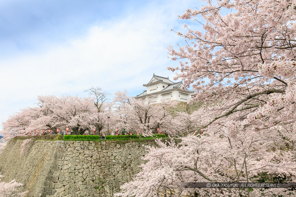 津山城の桜・備中櫓