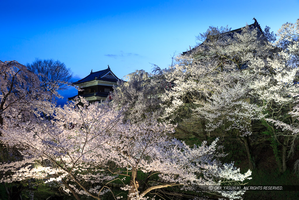 上田城の夜桜・ライトアップ