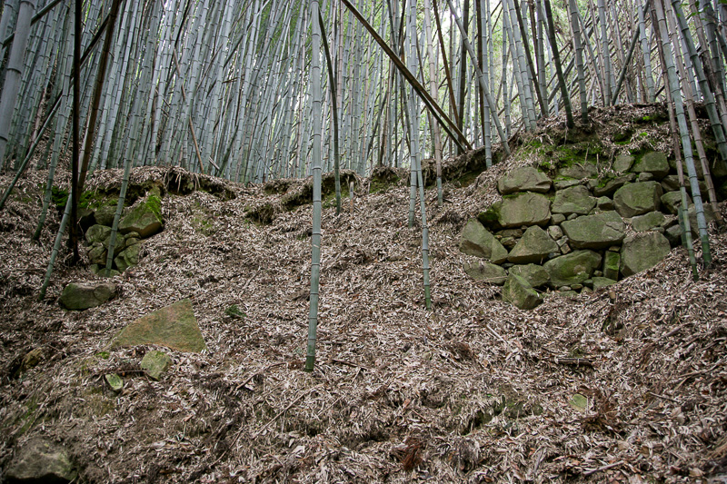 芥川山城