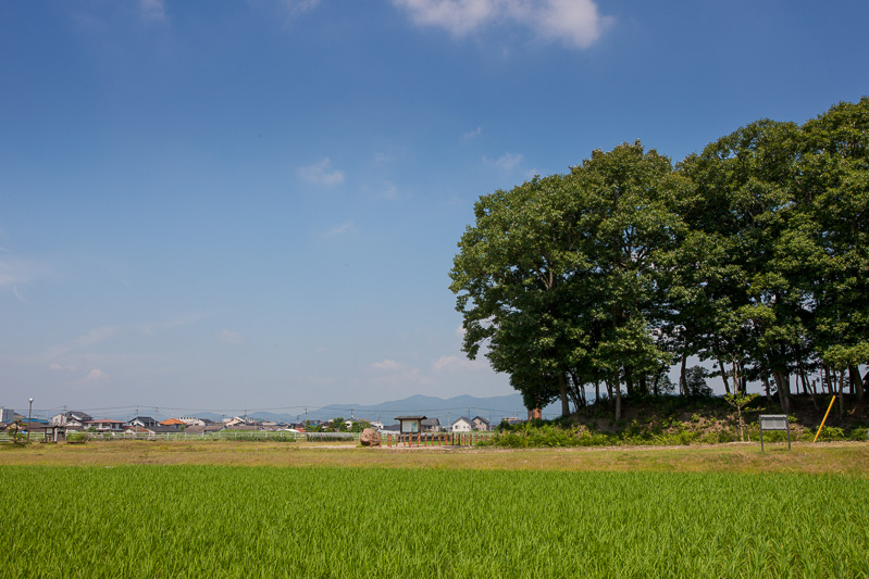 備中高松城