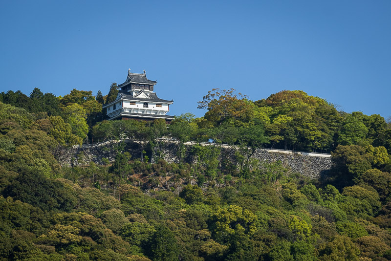 岩国城天守と要害横山城