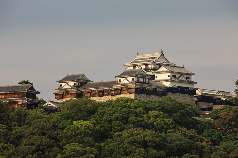 伊予松山城の天守