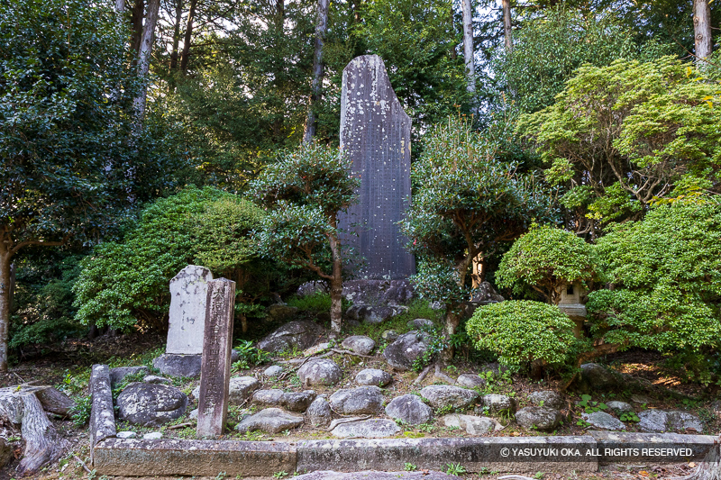 大河内城
