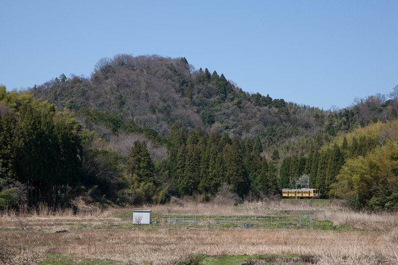 佐和山城