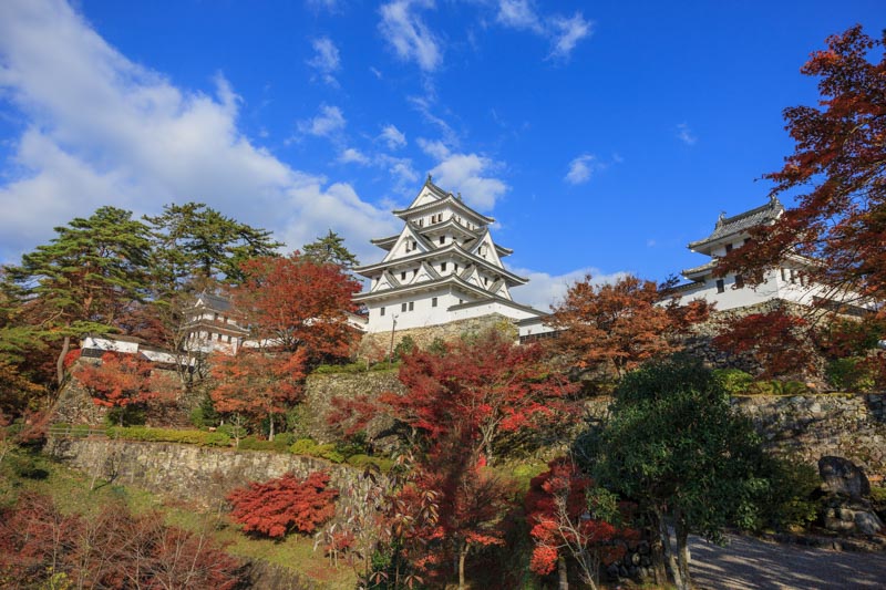 郡上八幡城