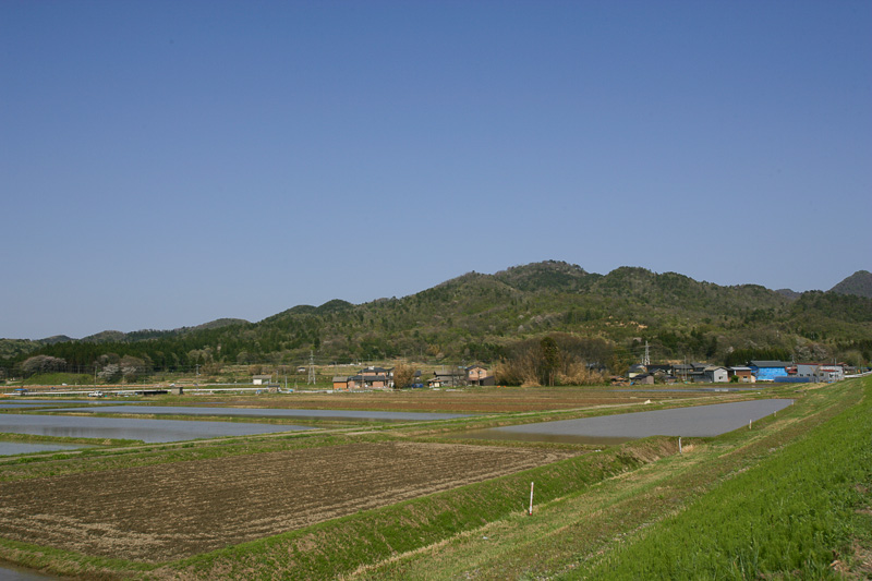 平林城