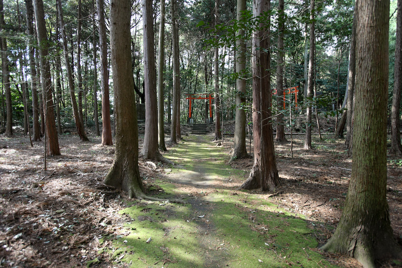 野田城