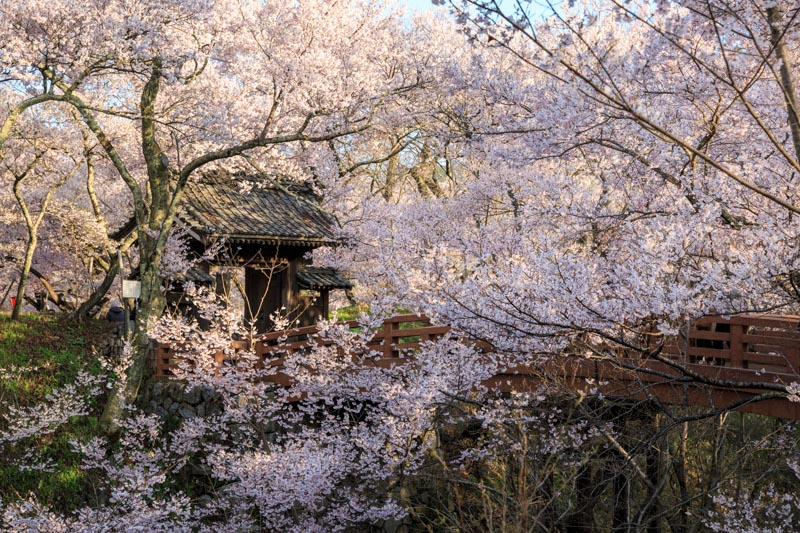 高遠城