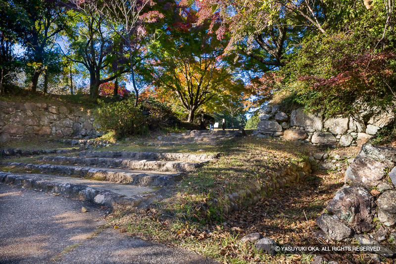 鳥羽山城