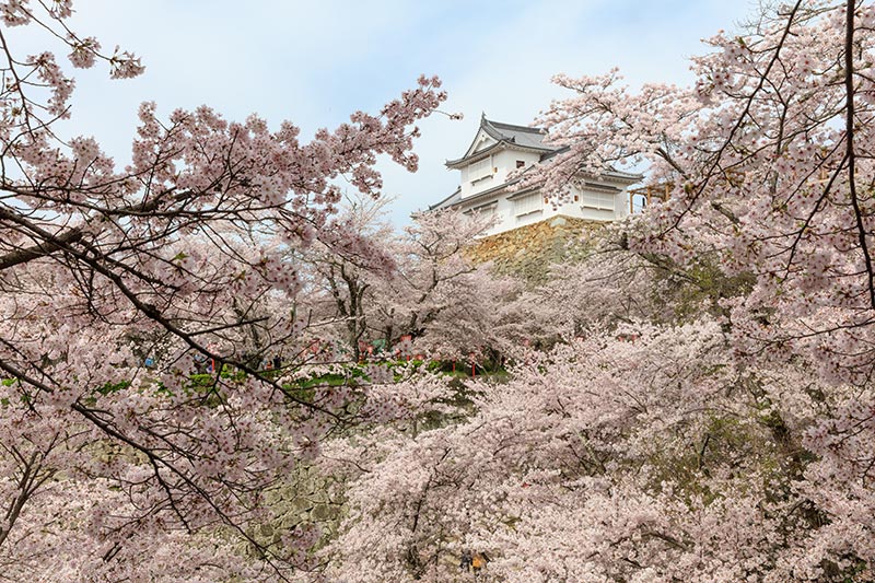 津山城