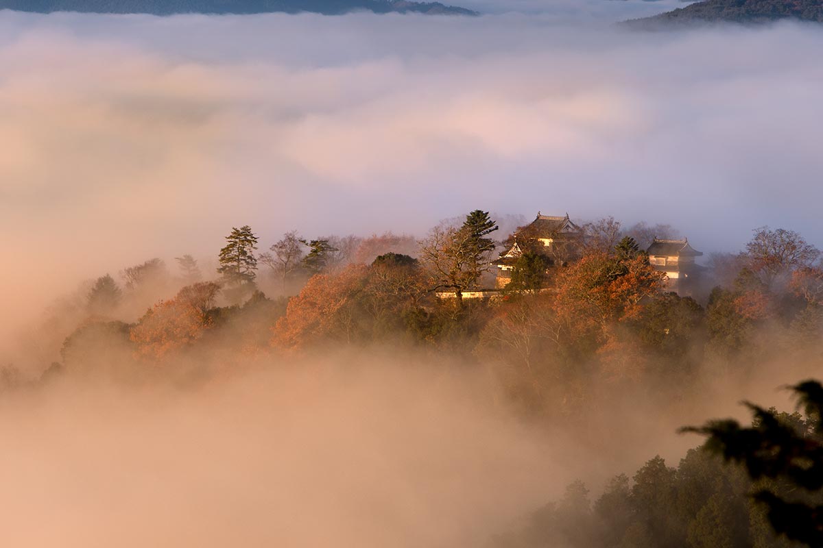 備中松山城