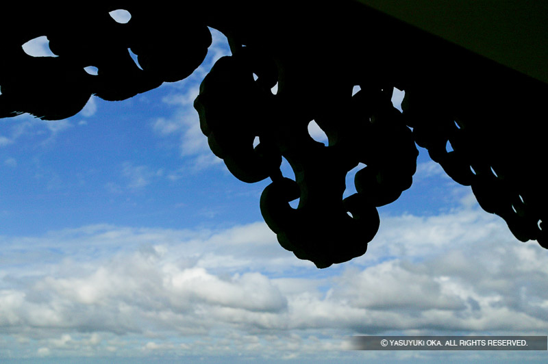 写真家プロフィール